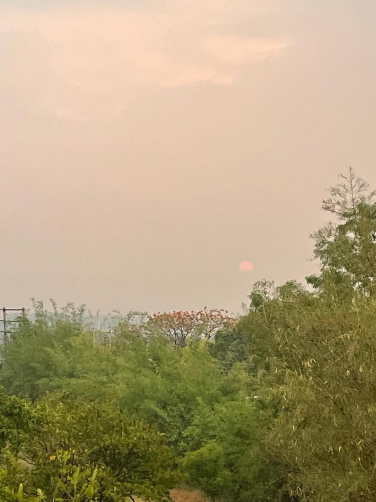 Samruddhi S1 Homestay Garden Villa Or S3 Nagpur Eksteriør billede